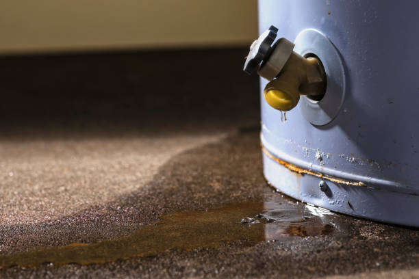 Best Commercial Water Damage Restoration in Gloucester, MA